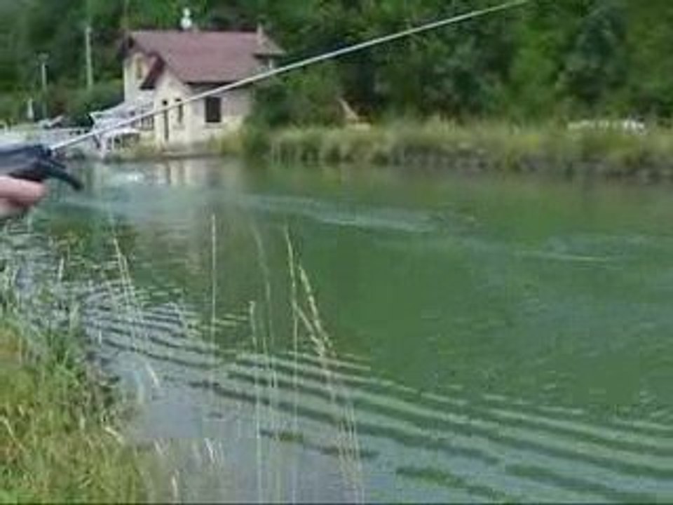 My mini cat carbon 4400kv