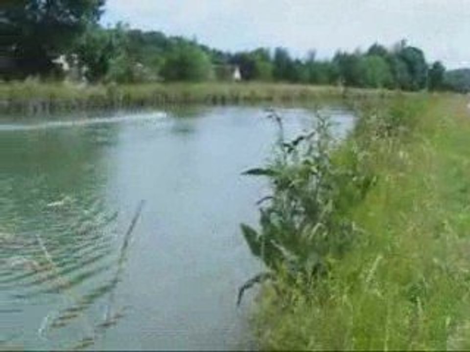 Minicat carbon scorpion 2221-6