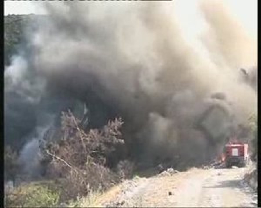 ÇÖPYANGINI ORMANA SIÇRADI