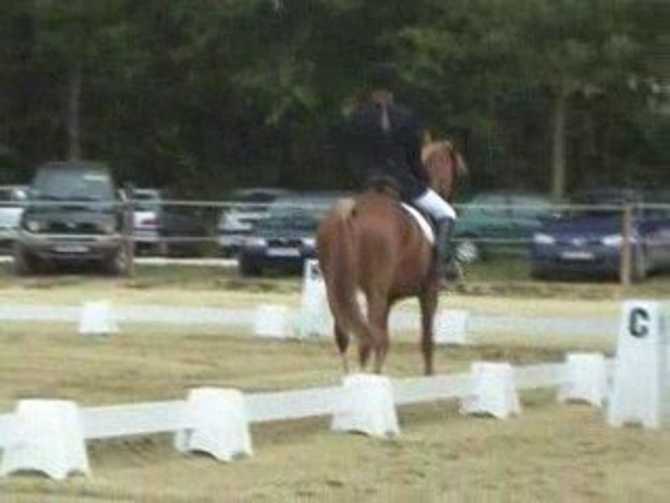 1ere place du dressage E2 avec Illico