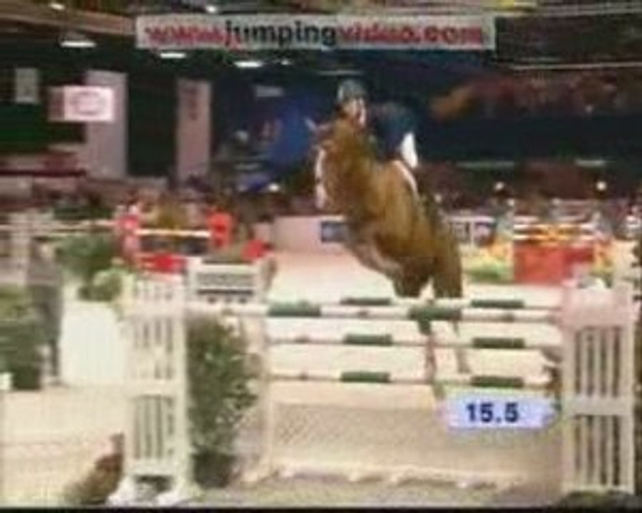 Fun horses