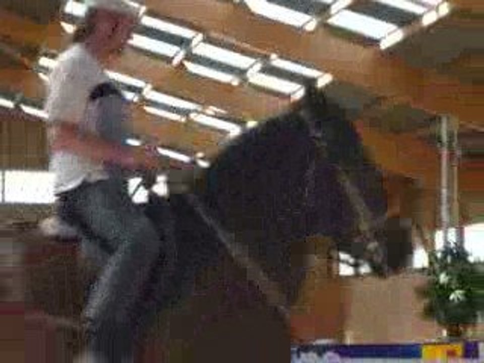 naer trot-piaffe