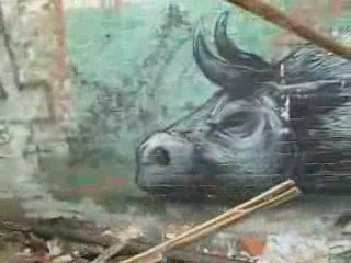 Urban Jungle - KrieBeL - Roa