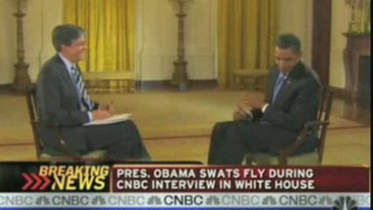 Obama Kills Fly: Samurai Edition
