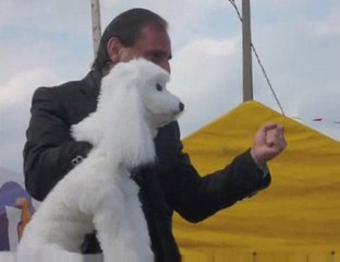Le ventriloque Frank Wells et son chien Handy à Estourmel
