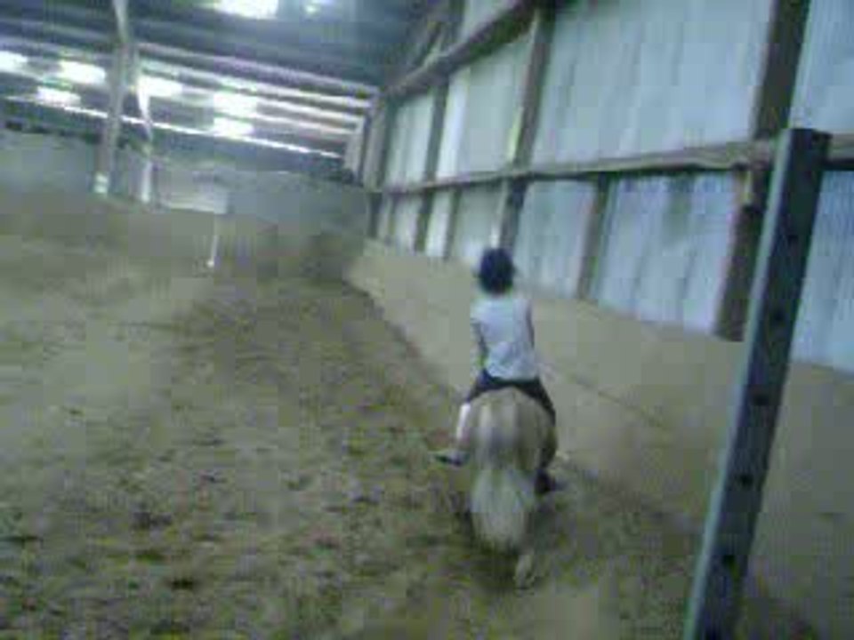 Pim et moi au galop a cru