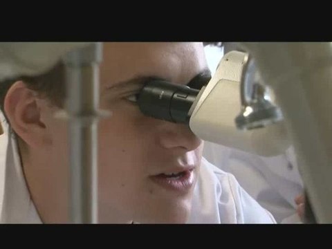 Section Sciences biotechniques - Environnement - La Reid