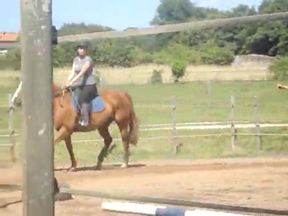 Reprise de Dressage. Detente
