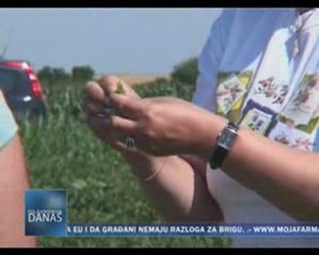 Poljoprivreda danas 18.06.09.