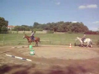 Reprise de Dressage du 17/06/09 Moi et Tucker