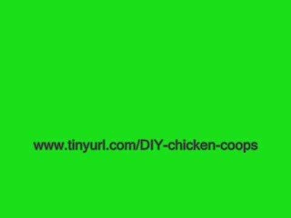 Online Video Tutorials - Building a Chicken Coop – Tips ...