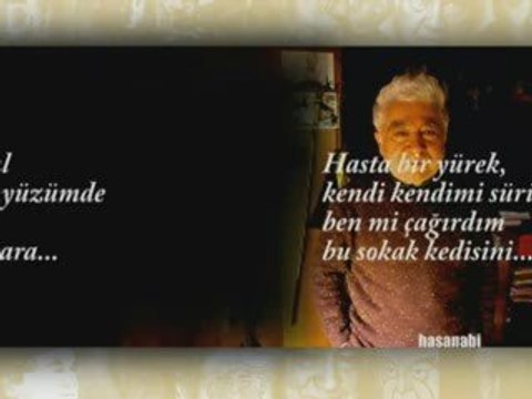 aziz nesin - şiirin tam zamanıdır