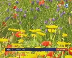 Chantier International du Potager du Roy