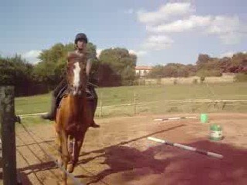 Reprise de Dressage du 17/06/09 Moi et Tucker