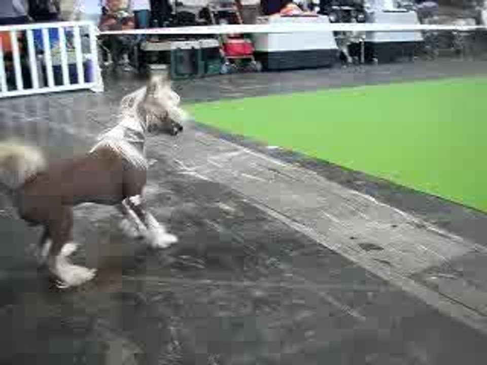 Dakota 13 juin
