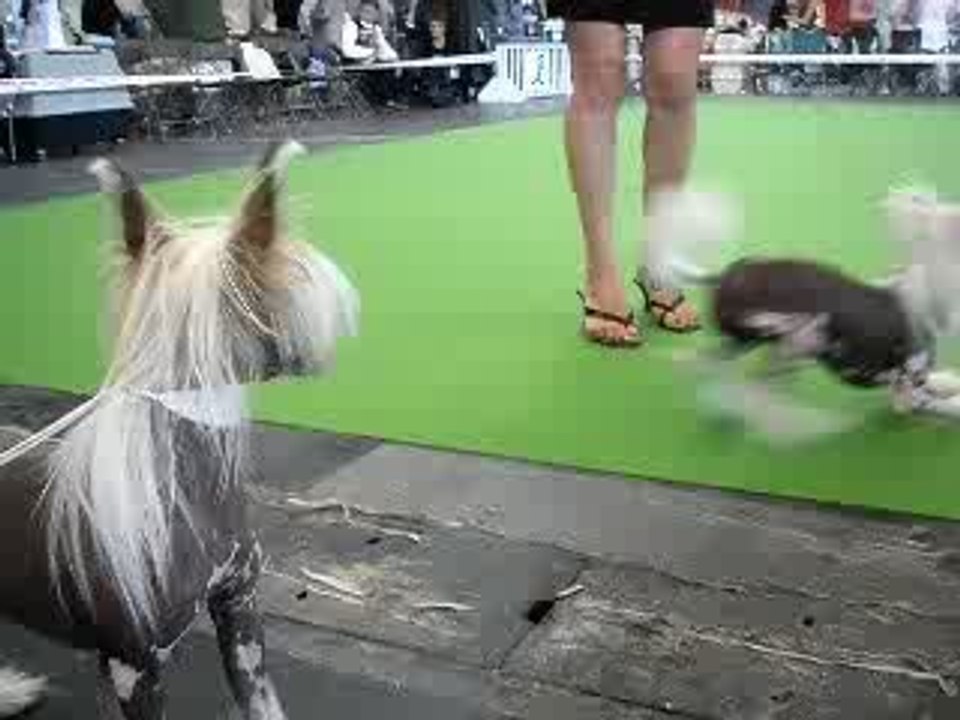 Dakota et Ary 13 juin