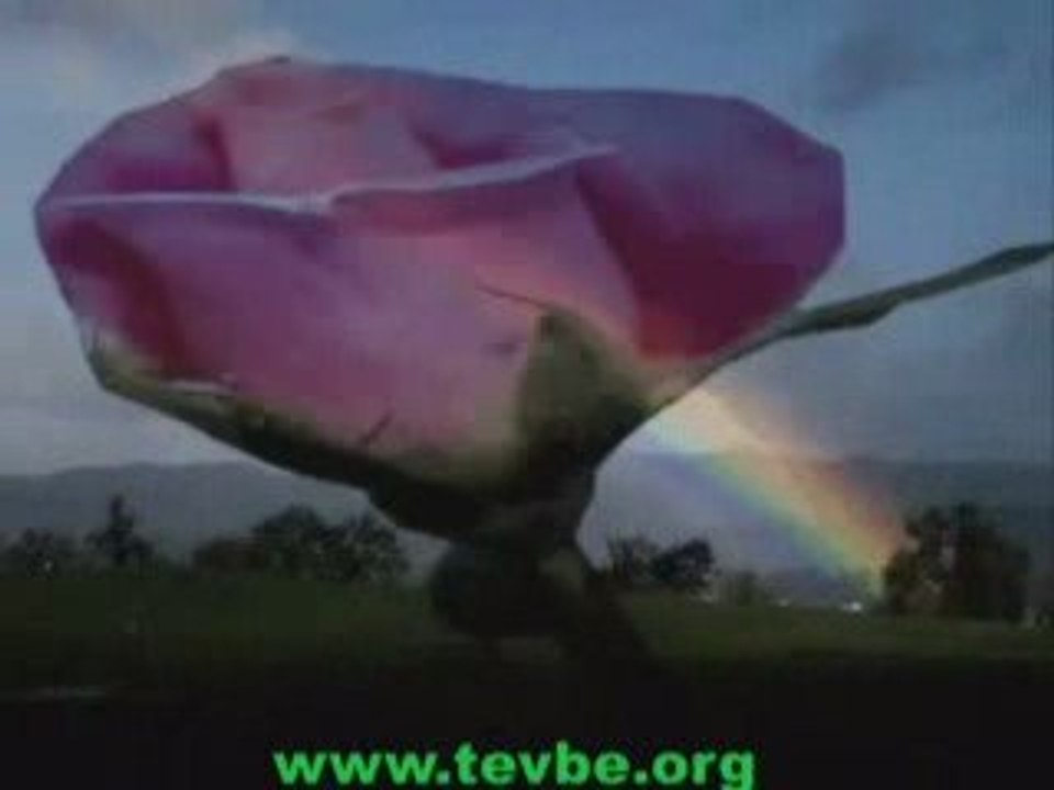 Dursun Ali Erzincanlı-Sen Gel Diye www.tevbe.org