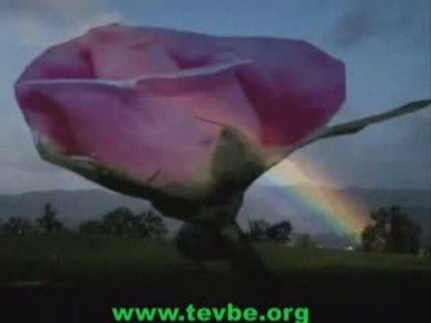 Dursun Ali Erzincanlı-Sen Gel Diye tevbe.org