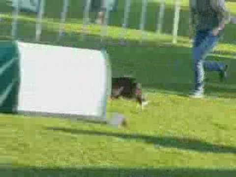 Agility Chupa