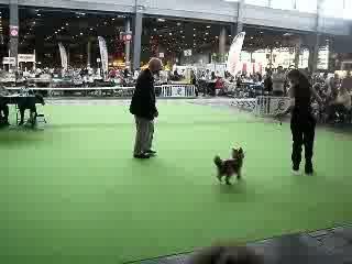 Houpette 13 juin bis