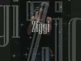 Ziggi - What U Stand 4 (Everyday Riddim)