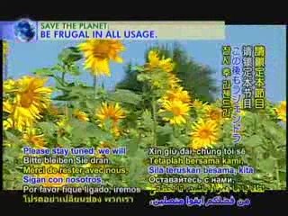 The Impact of Meat Production and Consumption on Climate Cha