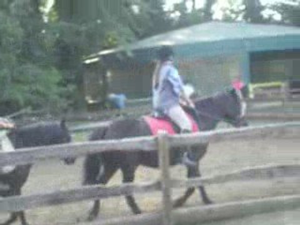 Passage De Mon Galop 1 avec Cacahuete