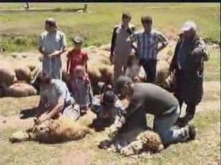 SİVAS ZARA AVŞAR KÖYÜ TANITIM1