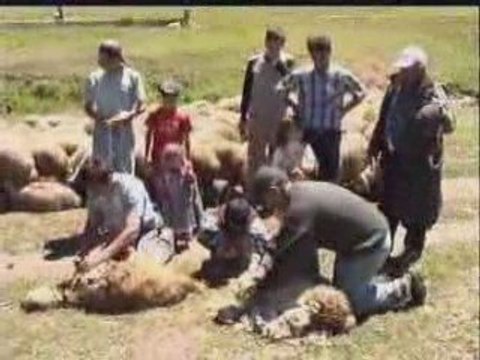 SİVAS ZARA AVŞAR KÖYÜ TANITIM1