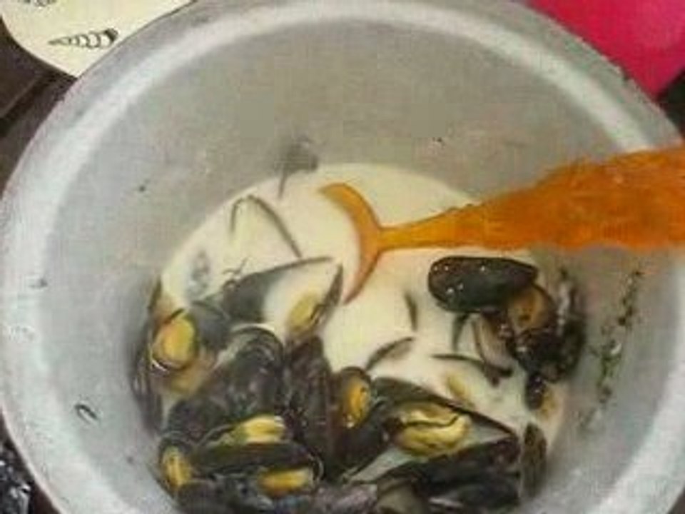 Moules crème !