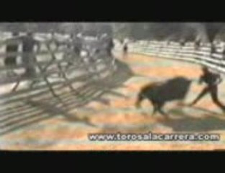 Collado Villalba 2004