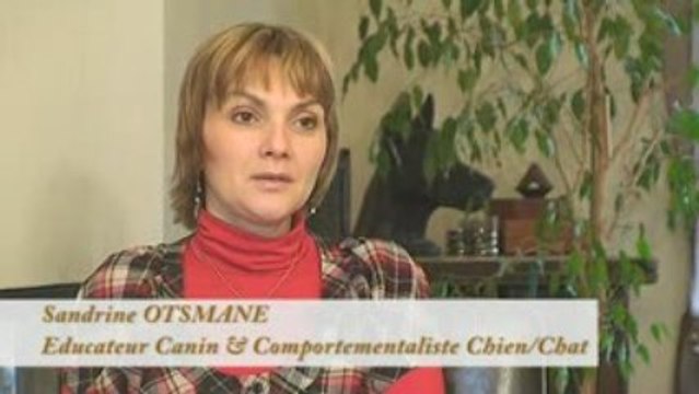 educateur canin et comportementaliste chien et chat paris et