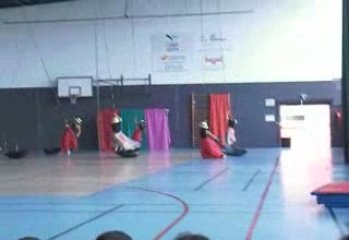 Dossier alice,anaïs,alyssa,marion