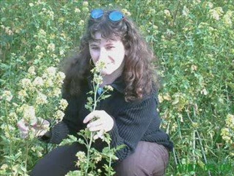 Ma jeunesse fout le camp par Marie Noelle (Françoise Hardy)