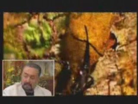 CELAL HOCA EĞİTİMDE - DERS 36