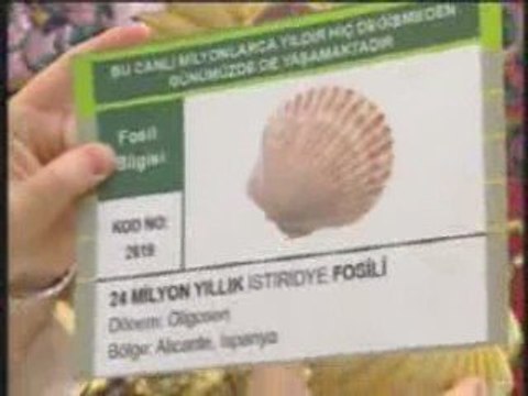 CELAL HOCA EĞİTİMDE - DERS 39