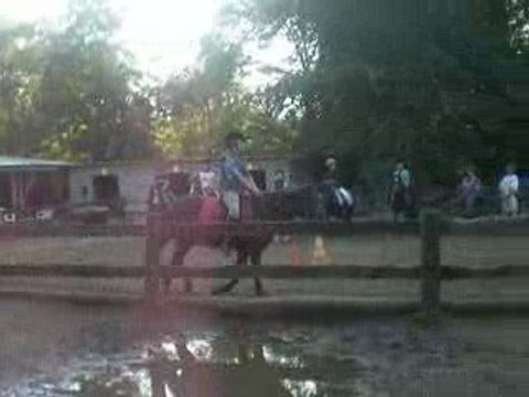 Passage De Mon Galop 1 avec Cacahuete 0003