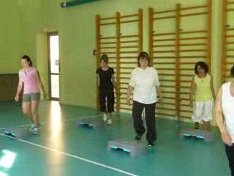 GYM ACSB Buzançais saison 2008-2009 (stepp)