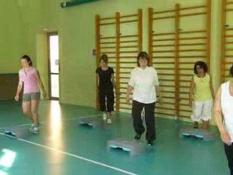 GYM ACSB Buzançais saison 2008-2009 (stepp)