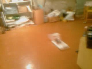 aérocat S : petite balade dans la cave !