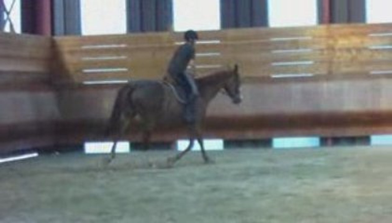 Haitic détente trot equilibre