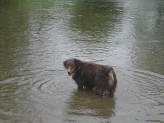 Baignade & Ballade du 12 Juin