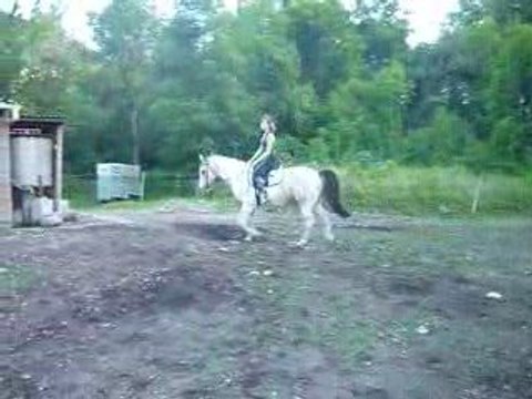 Doudou && sa belle selle de dressage <3