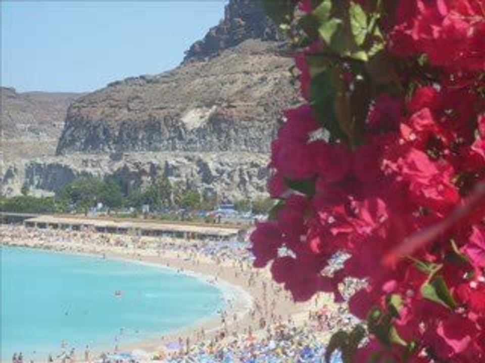 Canaris -Vacances 2009