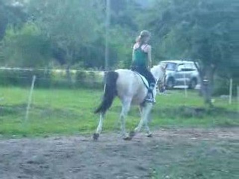 Doudou && sa belle selle de dressage <3 o3
