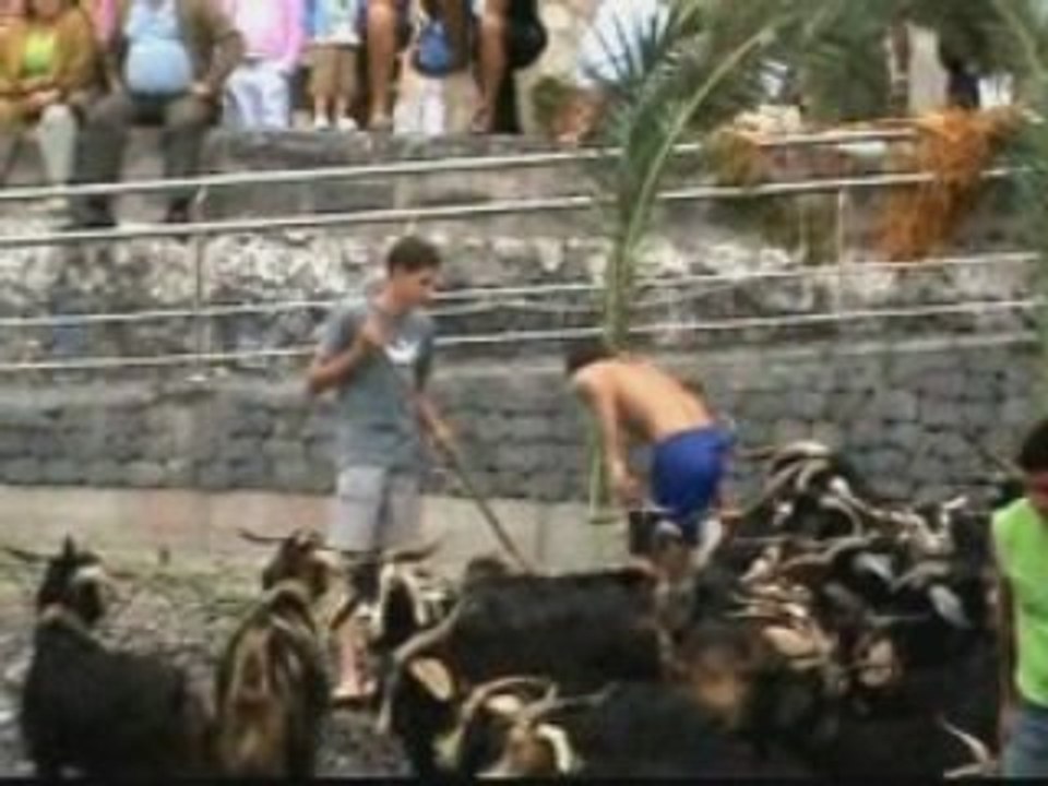 Boat Loan Calculator