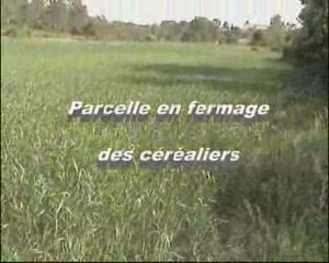 Parcelles de culture Céréalière au domaine de restinclières