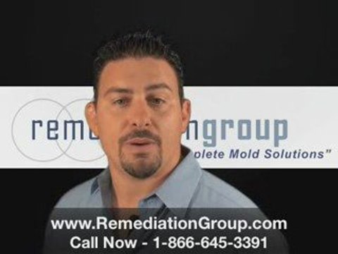 [REMEDIATION GROUP] Mold Testing SOUTH FLORIDA Mold Removal