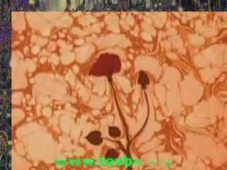 Mehmet Emin Ay-Mustafa Demirci Bana Rahmeyle Alwww.tevbe.org