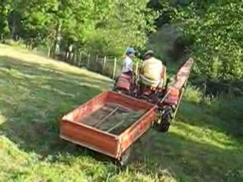 17/06/09 arrivée dans le pré  avec le Porsche junior